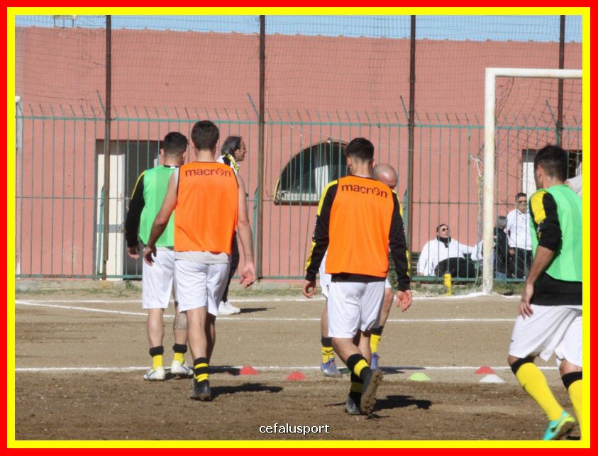 190310 Cephal_Torrenov 004_tn.jpg